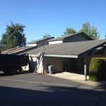 Roofing – Units 29,30,31,32, 34,35,36,28