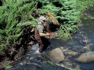 A1 Superior landscaping clears brush in Coffee Creek (2)