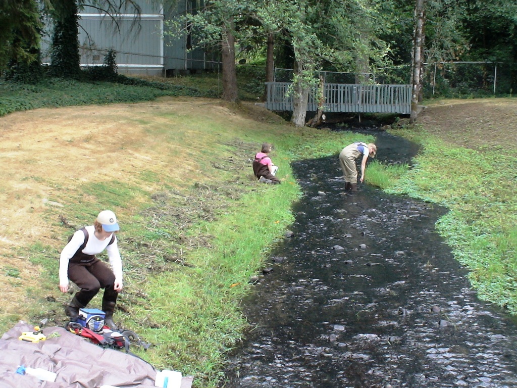 Goverment checks coffee creek's water quality