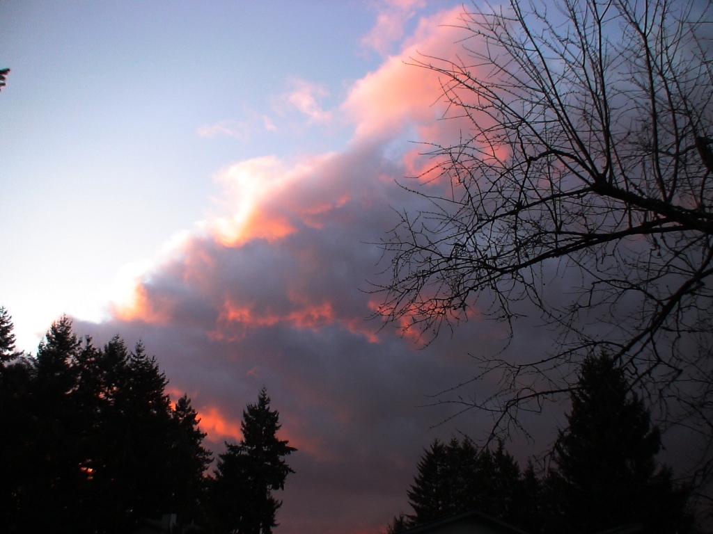 sunset suprise at coffee creek