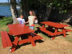 2 New Picnic Tables